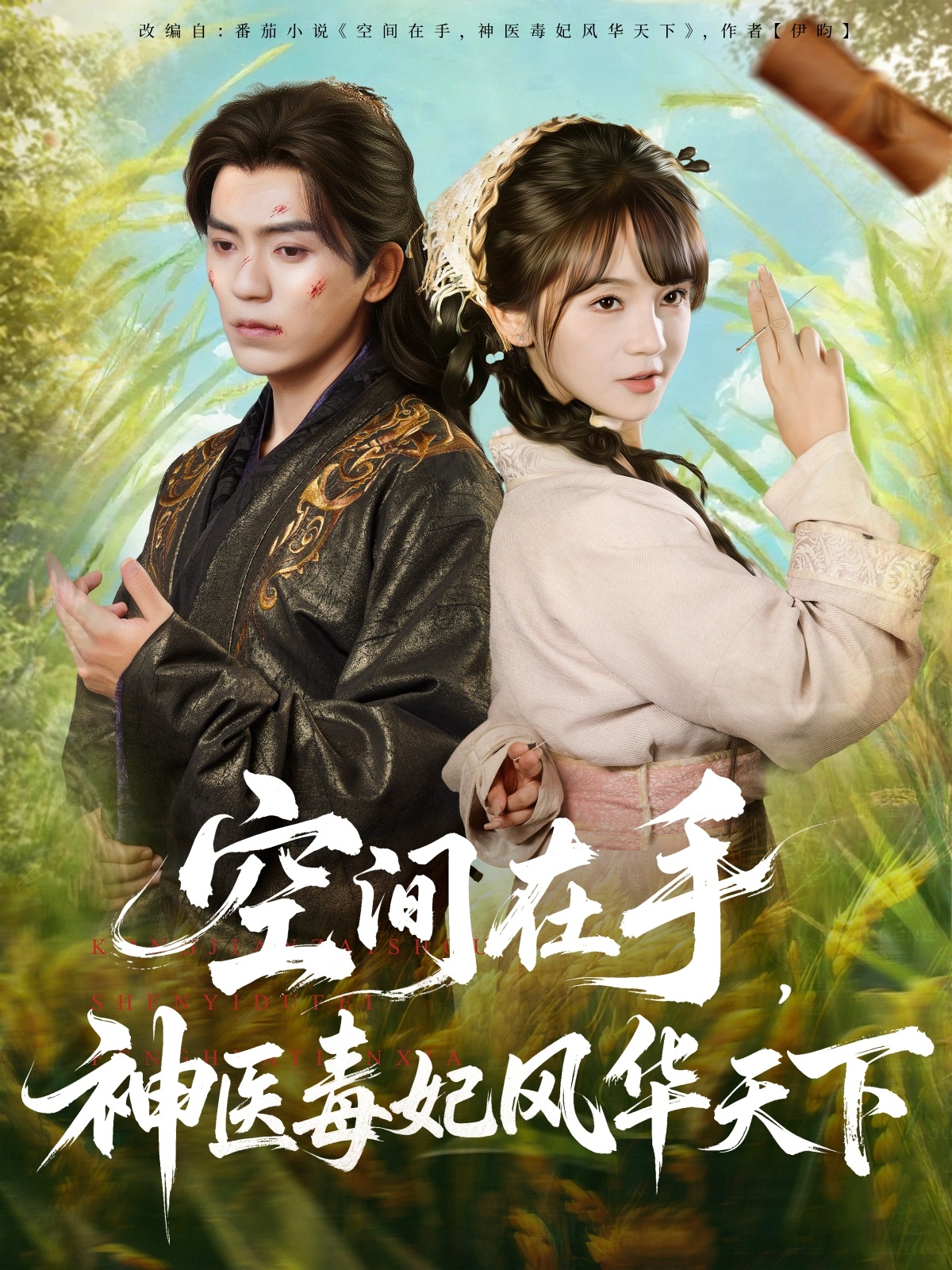 空间在手，神医毒妃风华天下(全集)