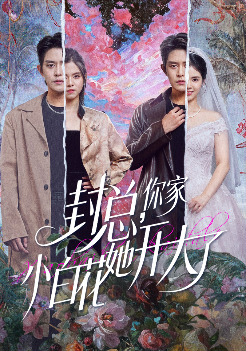封总，你家小白花她开大了(全集)
