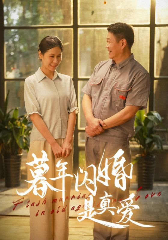 暮年闪婚是真爱(全集)