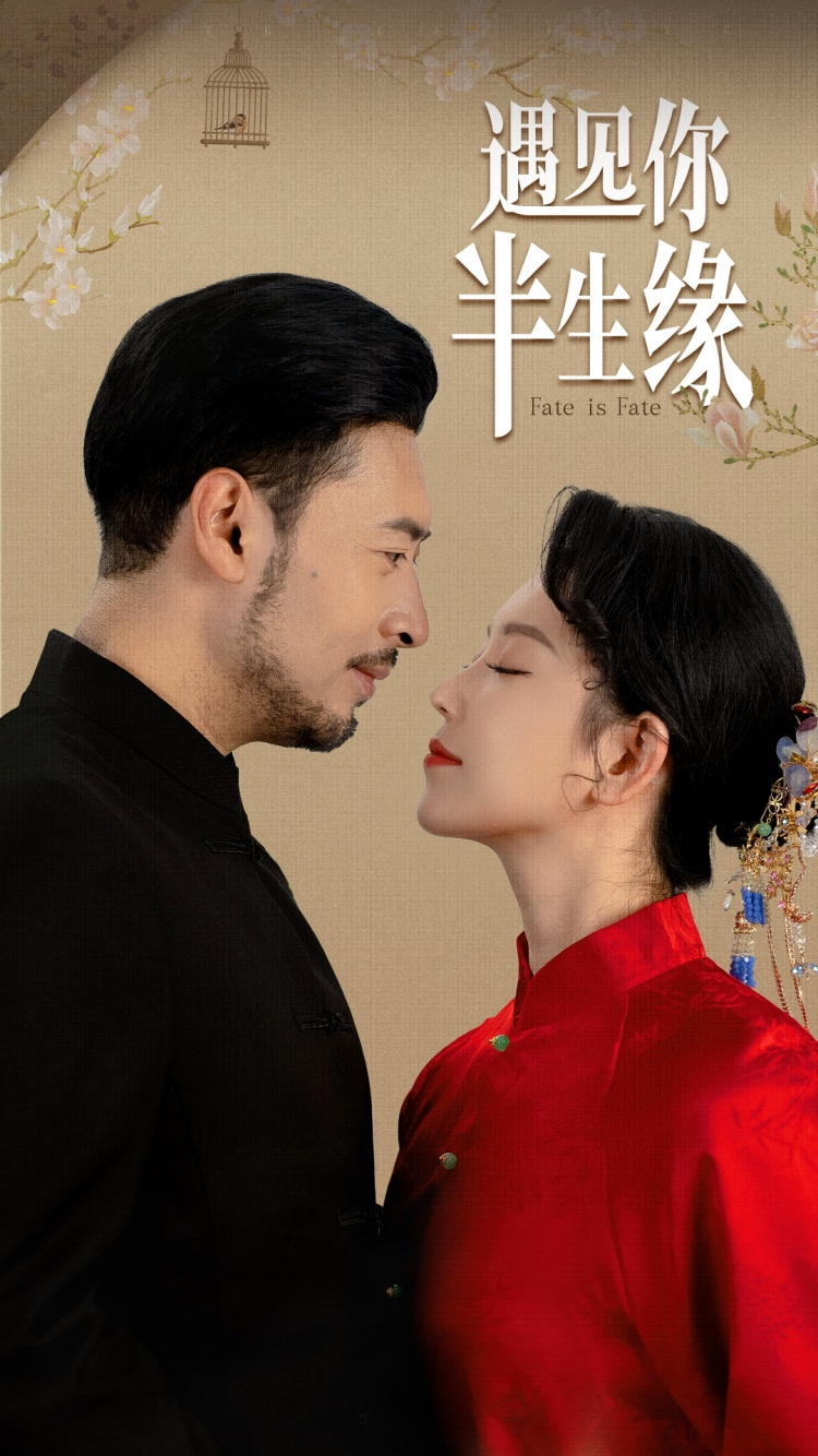 遇见你半生缘(全集)
