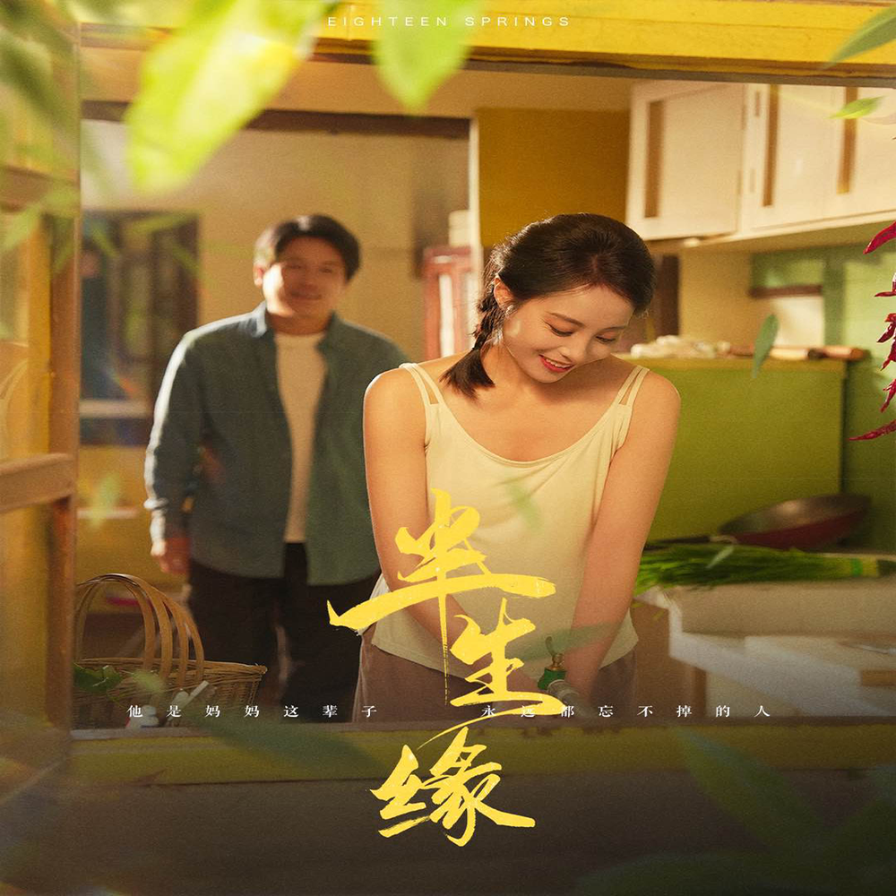 新版半生缘(全集)