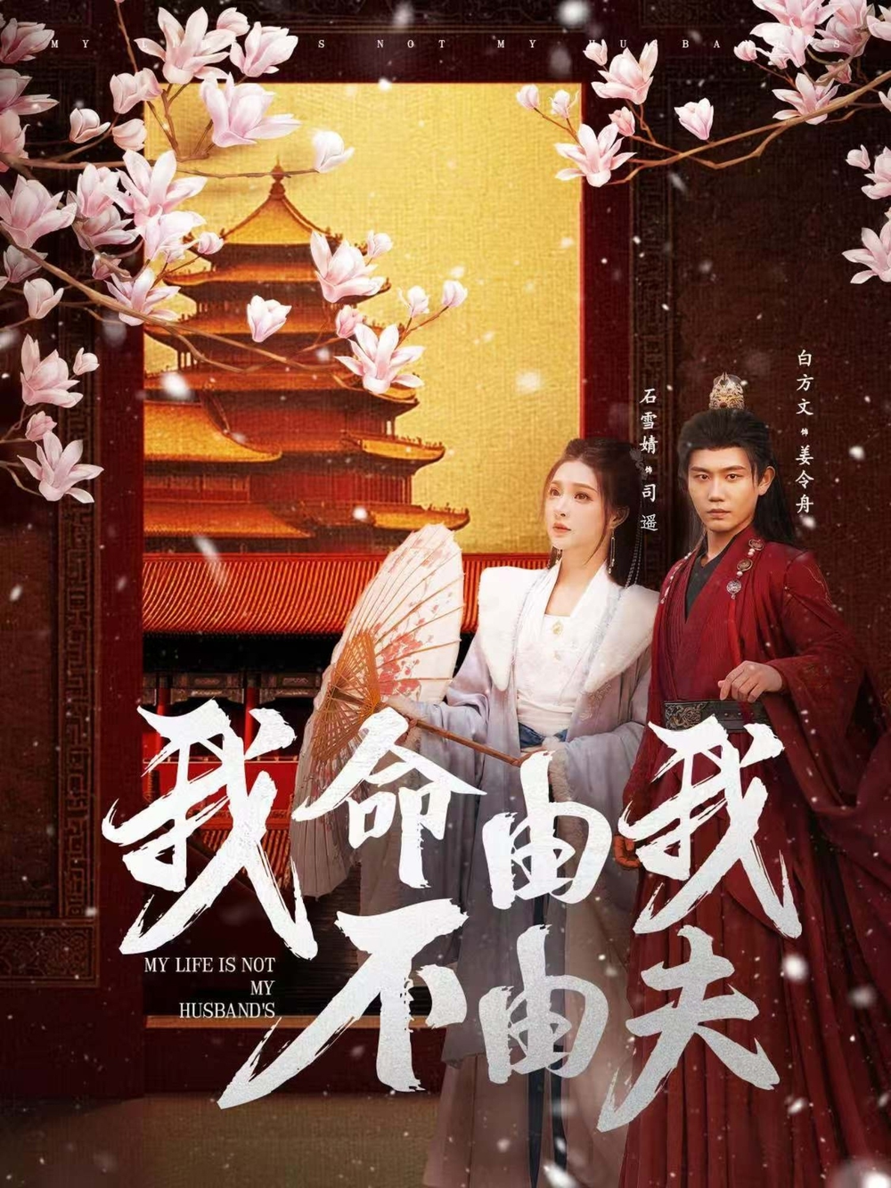 我命由我不由夫(全集)