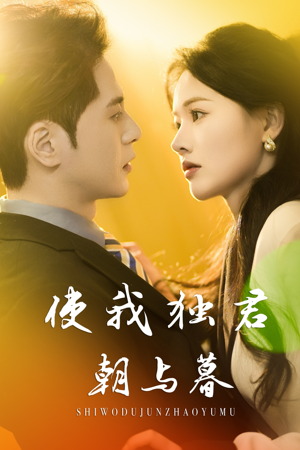 使我独君朝与暮(全集)