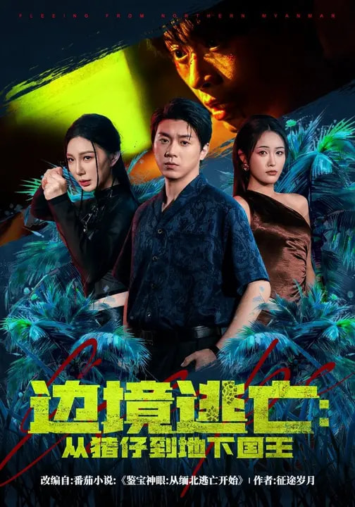 边境逃亡：从猪仔到地下国王(全集)