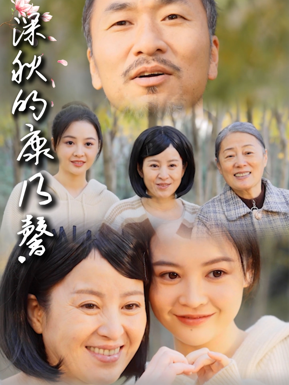 深秋的康乃馨(全集)