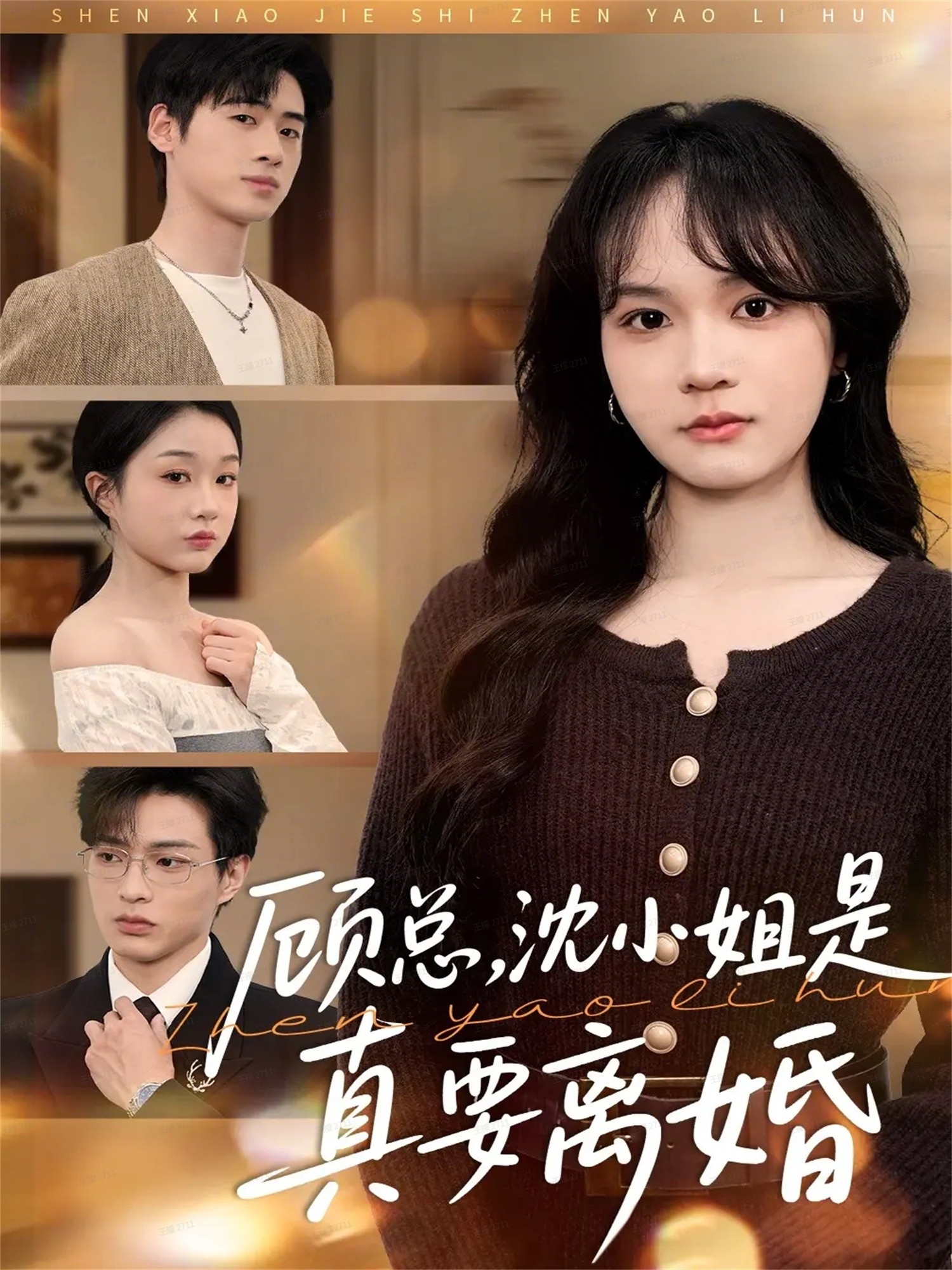 顾总，沈小姐是真的要离婚(全集)